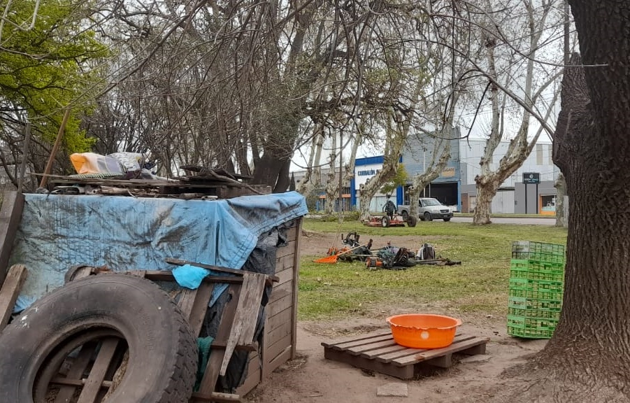 21 09 23 Plaza perros 6