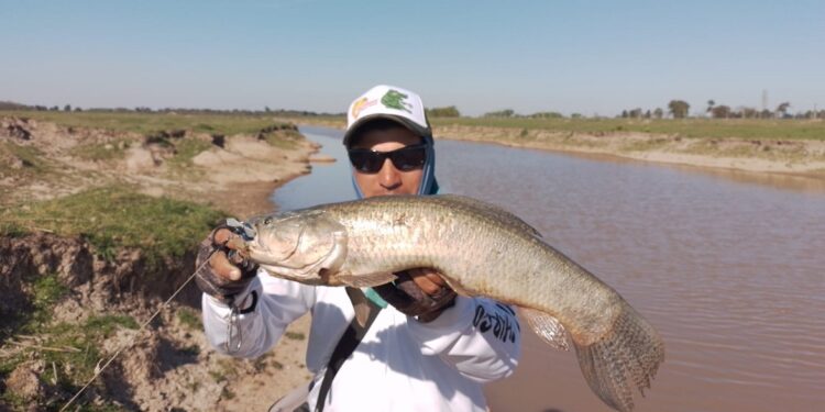 PRIMER RELEVAMIENTO DE “TARUCHAS” DE LA TEMPORADA