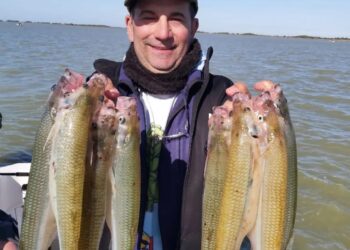 LA SALADA DE MADARIAGA SINÓNIMO DE PEJERREYES GIGANTES