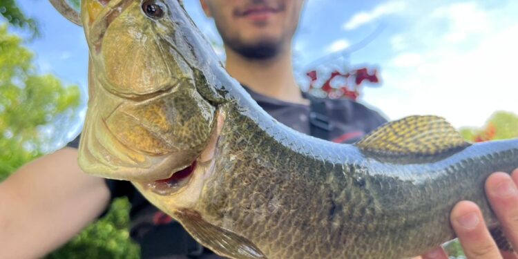 9 DE JULIO UNA CIUDAD CON SUERTE; UN ESPEJO DE AGUA A MINUTOS DEL CENTRO