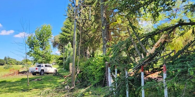 UN RAYO AFECTÓ TENDIDOS DE EDÉN
