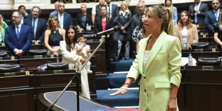 SILVINA VACCAREZZA JURÓ COMO DIPUTADA PROVINCIAL 1 SILVINA VACCAREZZA JURÓ COMO DIPUTADA PROVINCIAL