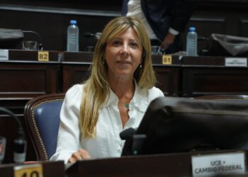 LA DIPUTADA VACCAREZZA PIDE A KICILLOF REDUCIR CARGOS POLÍTICOS