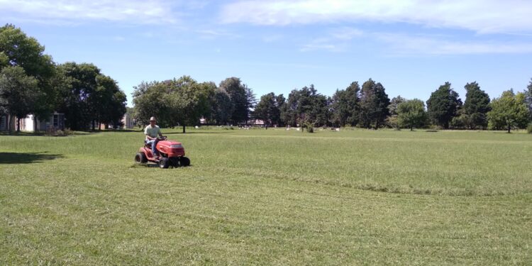 ANTE RECLAMOS DE VECINOS SE INICIARON TAREAS DE LIMPIEZA DEL CEMENTERIO