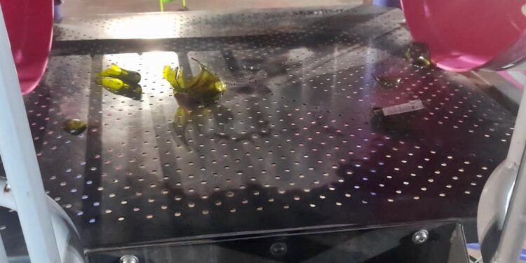 ALTERCADO CON POLICIAS. UN JOVEN AGREDIO CON UNA BOTELLA A LOS UNIFORMADOS