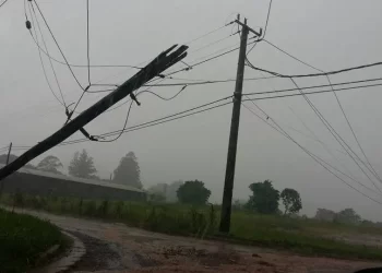 SERIOS  DESTROZOS EN LAS LINEAS DE EDEN EN LA REGIÓN. AVANZAN PARA LOS TRABAJOS PARA RESTABLECER SERVICIOS