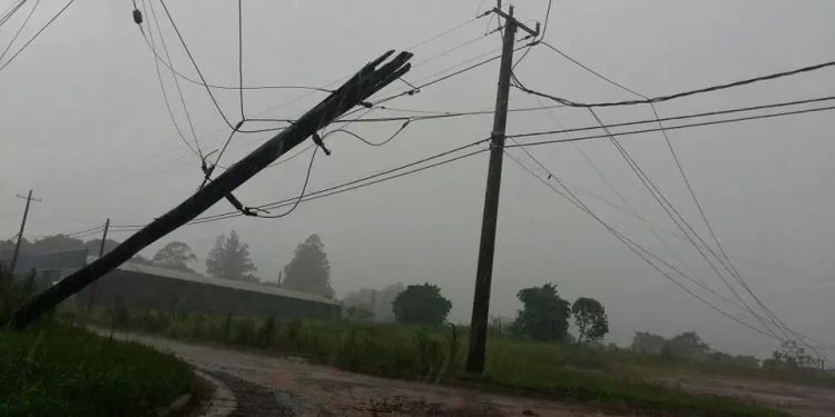 SERIOS  DESTROZOS EN LAS LINEAS DE EDEN EN LA REGIÓN. AVANZAN PARA LOS TRABAJOS PARA RESTABLECER SERVICIOS