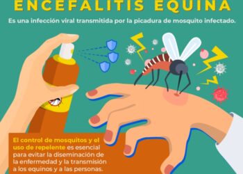 GRAVE. HOY SE CONFIRMO EL PRIMER CASO HUMANO DE ENCEFALITIS EQUINA