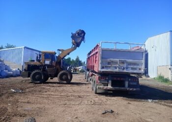 RECOLECCION DE NEUMÁTICOS EN DESUSO. DAMANDA DE LAS GOMERIAS DE BRAGADO