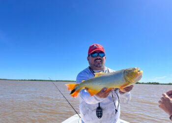 RAMALLO: EN BUSCA DE LOS LINGOTES DORADOS.