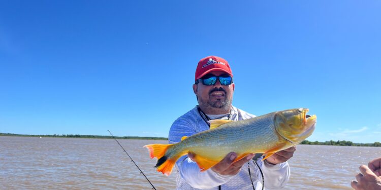 RAMALLO: EN BUSCA DE LOS LINGOTES DORADOS. 1 RAMALLO: EN BUSCA DE LOS LINGOTES DORADOS.