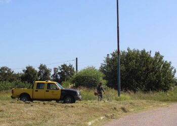 FINALMENTE LA PROVINCIA SE ACORDO. DESMALEZAMIENTO DE R 46