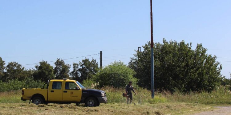 FINALMENTE LA PROVINCIA SE ACORDO. DESMALEZAMIENTO DE R 46