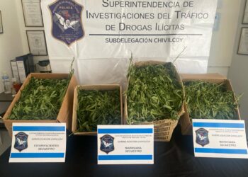 OPERATIVO POLICIAL Y SECUESTRO DE PLANTAS DE MARIHUANA