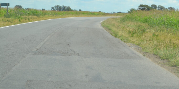 ANTE EL PELIGRO QUE PRESENTA, PIDEN A PROVINCIA QUE SE REALICEN TAREAS DE DESMALEZAMIENTO EN LA RUTA 65 1 ANTE EL PELIGRO QUE PRESENTA, PIDEN A PROVINCIA QUE SE REALICEN TAREAS DE DESMALEZAMIENTO EN LA RUTA 65