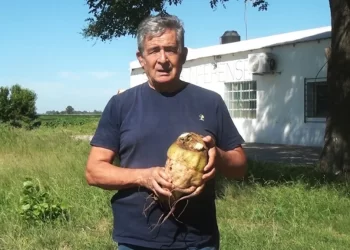 ANÍBAL MOLINA EN RADIO RIVADAVIA PROMOCIONANDO UN NUEVO CULTIVO