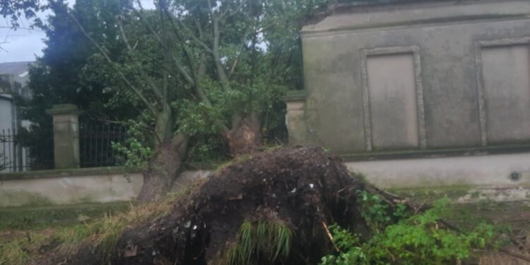 TORNADO AZOTÓ OLASCOAGA. IMPORTANTES DAÑOS EN LA LOCALIDAD Y TODA LA ZONA RURAL CERCANA. DOS HERIDOS LEVES