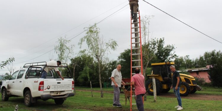 DESPUÉS DE 10 DIAS VOLVIÓ LA ENERGÍA ELÉCTRICA A OLASCOAGA
