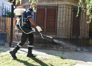 LOS CASOS DE DENGUE SUBIERON 80%, HAY 18 FALLECIDOS Y EL BROTE SE EXTIENDE EN EL INTERIOR BONAERENSE