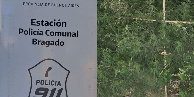 POR LA BRUTAL AGRESIÓN OCURRIDA EN MECHITA, SE REALIZARON  ALLANAMIENTOS