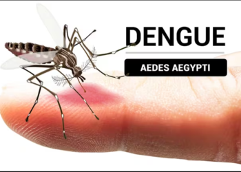 EN BRAGADO SE CONFIRMO EL PRIMER CASO DE DENGUE AUTOCTONO