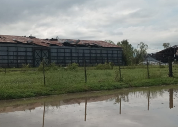 LAS CONSECUENCIAS DEL TORNADO. LAS IMAGENES DE OLASCOAGA MUESTRAN LA VIOLENCIA DEL FENOMENO CLIMATICO