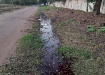 POR QUEJAS DE VECINOS, GUARDIA URBANA INFRACCIONO UN MATADERO DE CERDOS