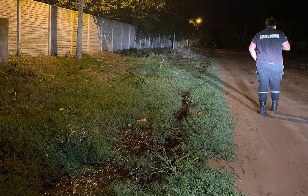 cuneta matadero cerdos2