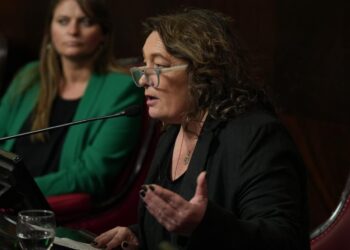 PEDIDO DE INFORMES ¿QUE PASO CON LOS DRONES QUE COMPRO LA PROVINCIA PARA DAR MAS SEGURIDAD AL CAMPO?