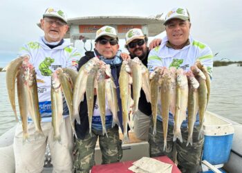 LAGUNA SAUCE GRANDE, MUCHO PEJERREY DE MUY BUEN TAMAÑO