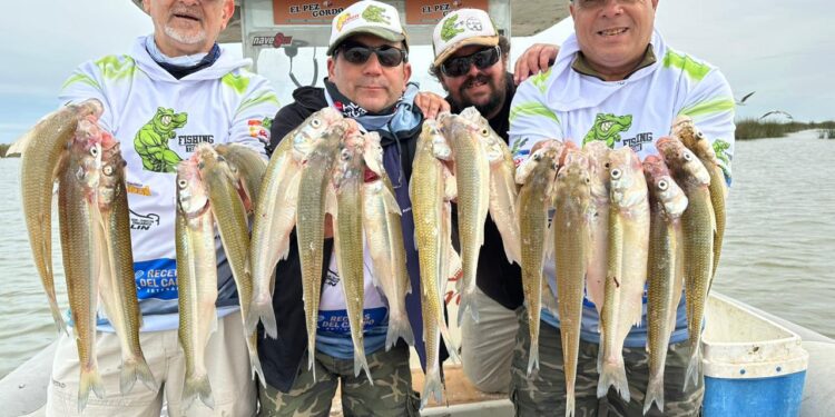 LAGUNA SAUCE GRANDE, MUCHO PEJERREY DE MUY BUEN TAMAÑO 1 LAGUNA SAUCE GRANDE, MUCHO PEJERREY DE MUY BUEN TAMAÑO