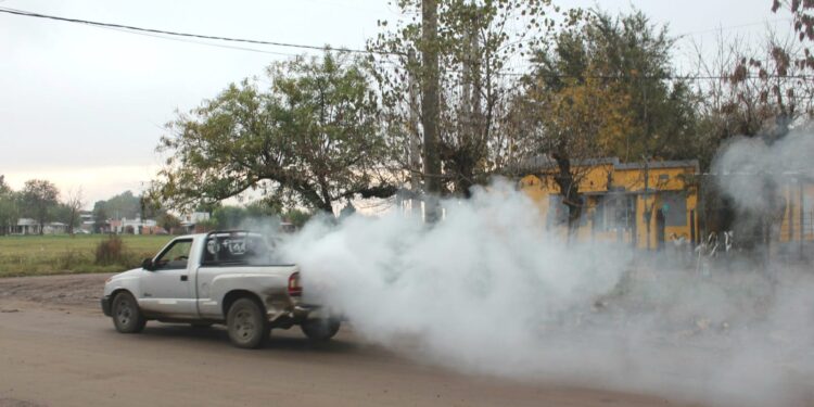 LLEGO EL FRIO PERO LOS MOSQUITOS SIGUEN FIRMES…