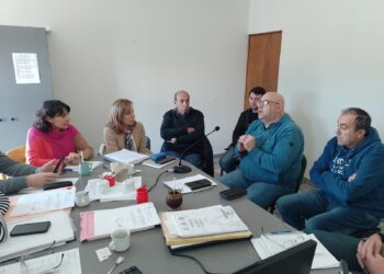 EL DIRECTOR DE SEGURIDAD EN EL CONCEJO DELIBERANTE