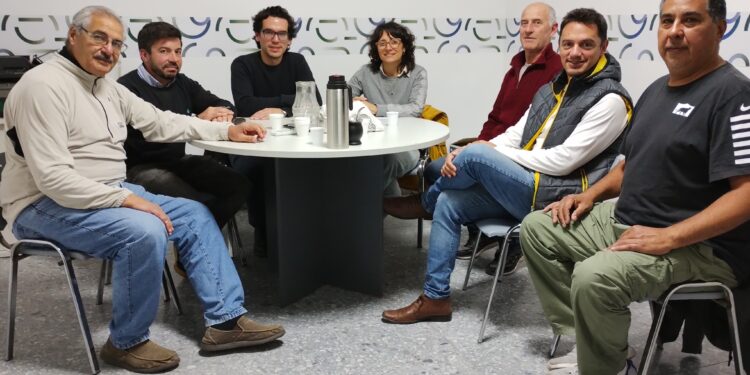 EL CUCI BUSCA QUE SE GENERE UN FONDO A PARTIR DE LA RECAUDACIÓN DE LA TASA MUNICIPAL DE ALUMBRADO 1 EL CUCI BUSCA QUE SE GENERE UN FONDO A PARTIR DE LA RECAUDACIÓN DE LA TASA MUNICIPAL DE ALUMBRADO