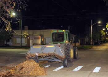 OPERATIVO OTOÑO: AVANZA EL BARRIDO DE HOJAS CAÍDAS