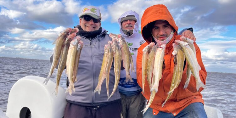 MELINCUE, UN ESPEJO QUE EMPIEZA A RECUPERARSE