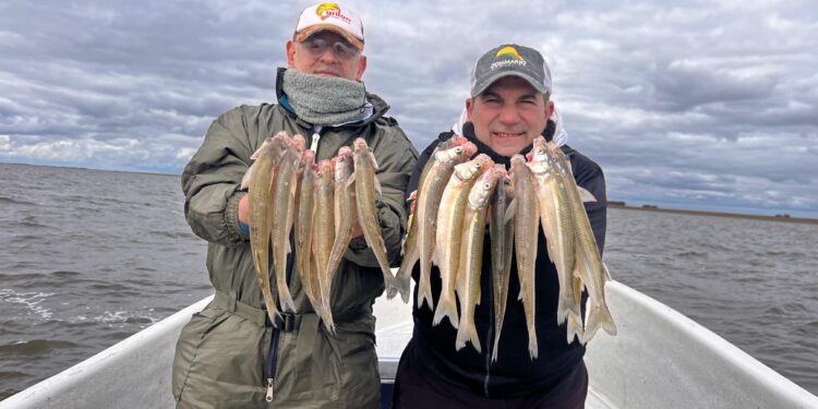 ALSINA: UNA LAGUNA MUY POBLADA PARA PESCAR 1 ALSINA: UNA LAGUNA MUY POBLADA PARA PESCAR
