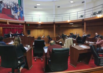 EL CONCEJO DELIBERANTE DISPUSO SUSPENDER POR 6 MESES EL ESTACIONAMIENTO MEDIDO