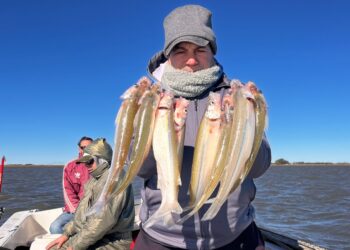UNA HORA BASTÓ PARA MOSTRAR EL MOMENTO DE LA LAGUNA DE COCHICÓ
