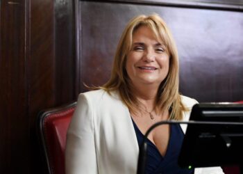 UNIDAD DE LA UCR: “NO ES NECESARIO LLEGAR A INTERNAS”, DIJO ERICA REVILLA