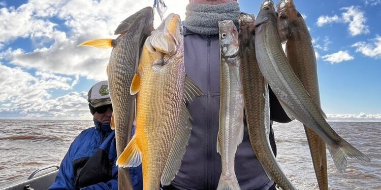 PESCA. MAGDALENA, UNA BUENA OPCIÓN, 2 ESPECIES EN UN MISMO LUGAR 1 PESCA. MAGDALENA, UNA BUENA OPCIÓN, 2 ESPECIES EN UN MISMO LUGAR