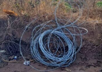 LLEVABAN CABLES DE ALUMINIO QUE HABIAN SUSTRAIDO Y FUERON APREHENDIDOS