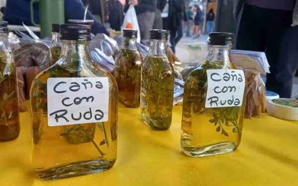 1 DE AGOSTO. DIA DE CAÑA CON RUDA. ¿ES BUENO ESTE RITO?