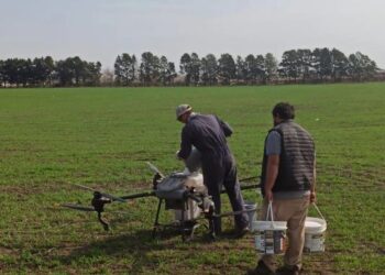 FERTILIZACIONES AÉREAS EN EL “CAMPITO” DEL INSTITUTO AGROTÉCNICO