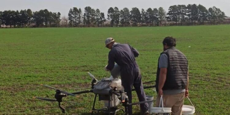 FERTILIZACIONES AÉREAS EN EL “CAMPITO” DEL INSTITUTO AGROTÉCNICO