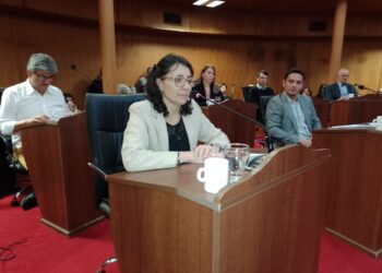 MARITA GELITTI: “VENEZUELA VIVE UNA CRISIS INSTITUCIONAL SIN PRECEDENTES”