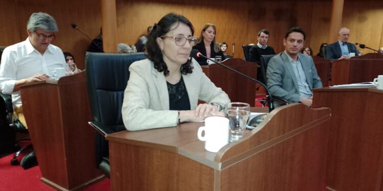 MARITA GELITTI: “VENEZUELA VIVE UNA CRISIS INSTITUCIONAL SIN PRECEDENTES”