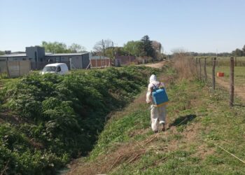BRAGADO INTENSIFICA LA LUCHA CONTRA EL DENGUE EN ZONAS CRÍTICAS