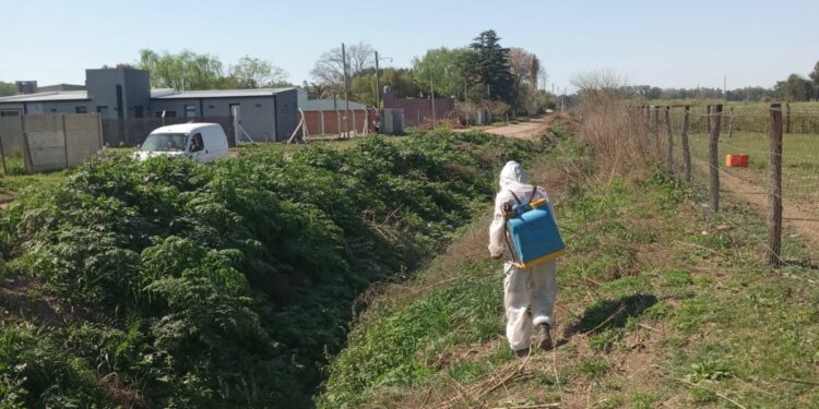 BRAGADO INTENSIFICA LA LUCHA CONTRA EL DENGUE EN ZONAS CRÍTICAS