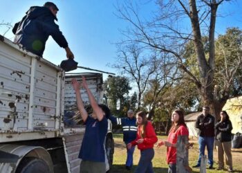La Municipalidad de Bragado trabaja en forestación